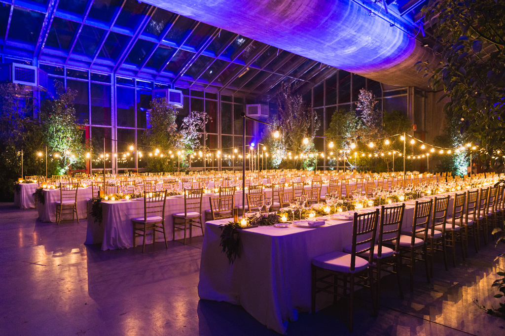 Best Destionation Wedding Photographer best destionation wedding photographer